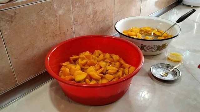 Учебник по Таланту и Творчеству