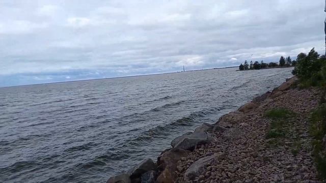 Почему живая собака пахнет трупом или реальные истории о венгерской выжле от Марины Березиной смотреть онлайн