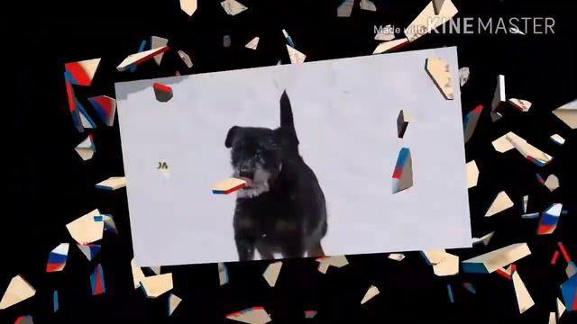 Питомник Урал Хантер смотреть онлайн