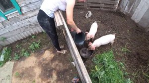 КУПИЛ ЧЕТВЕРТЫЙ ГАРАЖ - ПЕРЕЕЗЖАЕМ - ЗАЛИВАЕМ ПОЛ