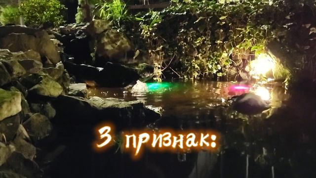 Как узнать, что вы ведьма?  6 признаков, которые не обманут