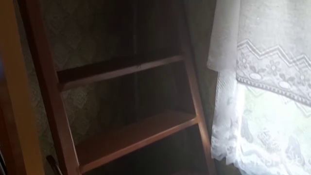 Дачный репортаж смотреть онлайн