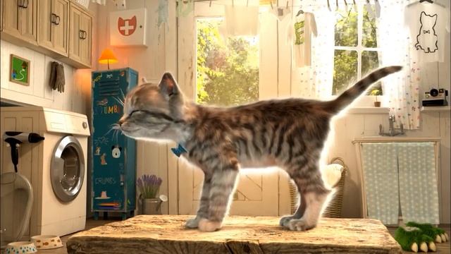 ПРИКЛЮЧЕНИЕ МАЛЕНЬКОГО КОТЕНКА - Кид нашел смешную одежку для котика #ПУРУМЧАТА смотреть онлайн