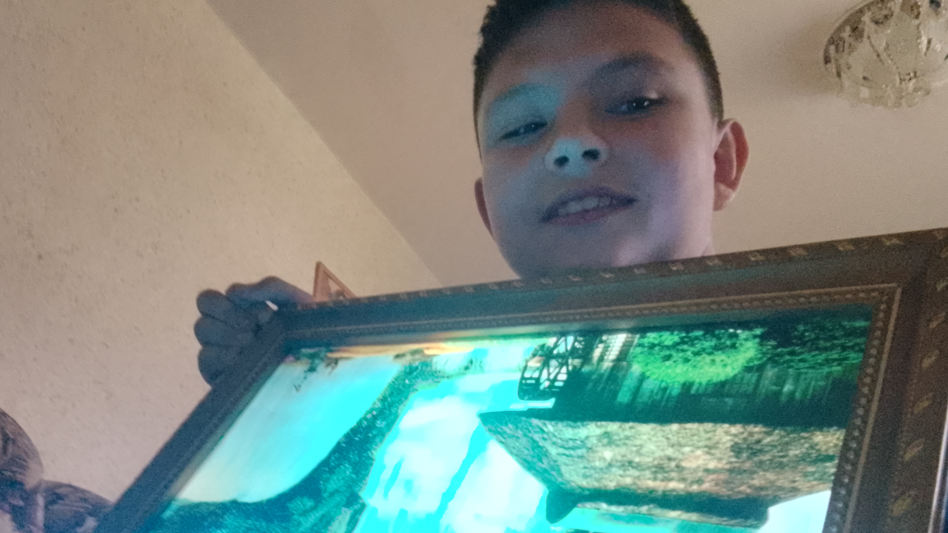 картина звукозаписи птиц и море смотреть онлайн