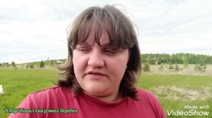 Электропастух, кошачья подстава, и дела нескончаемые.