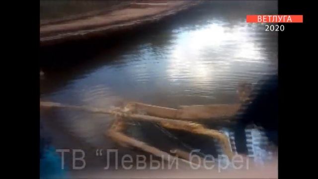 «Вся Ветлуга 2020»