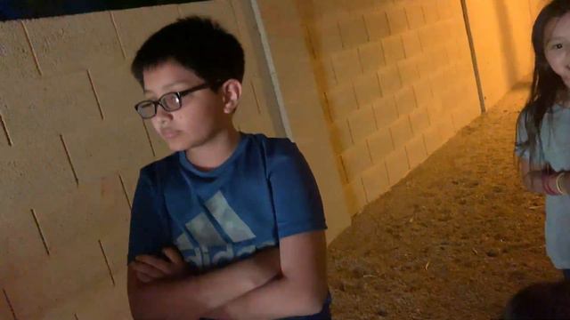 WE FOUND A HUGE BEETLE!! WATCH TILL END!!! #theplayfamily #familyfun смотреть онлайн