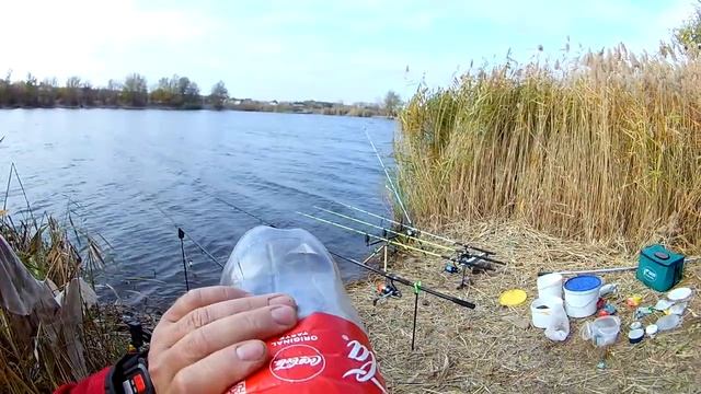 НАГЛЫЕ КАРАСИ перебивают КОММЕНТАРИИ и по двое садятся на одну удочку!Рыбалка на бесплатном водоёме смотреть онлайн