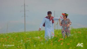 Setara Hashimi - Qaimaqi [4K] (Official Video) ستاره هاشمی - قیماقی_