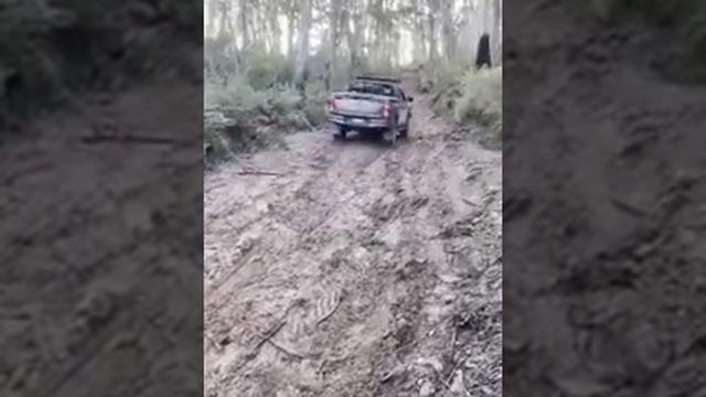 hilux n80 and kzn165 gone bush up Big Ben forest смотреть онлайн