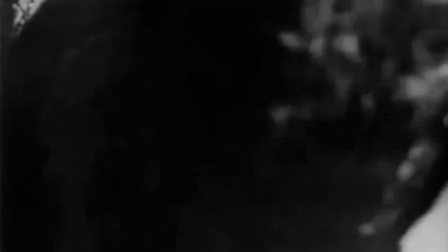 битва при заме смотреть онлайн