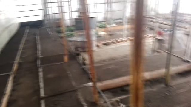 теплица термос для выращивания томатов готова к бою смотреть онлайн