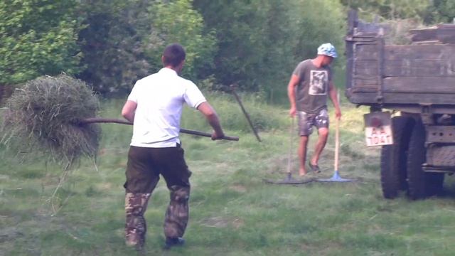 Сбор урожая травы 2021