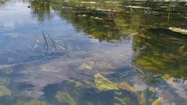 СПЛАВ ВОЖА-ОКА смотреть онлайн