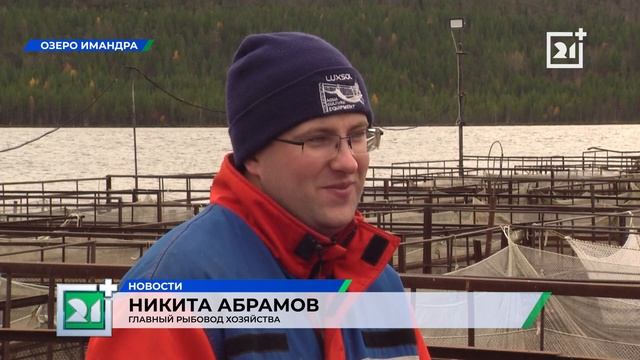 Необычное хозяйство работает в Мурманской области смотреть онлайн