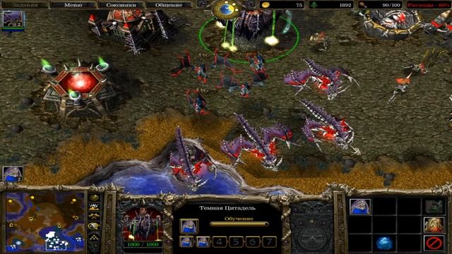 Warcraft3.Обзор игры