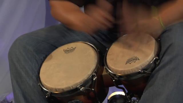 Fausto Cuevas: Bongo Solo | Remo смотреть онлайн