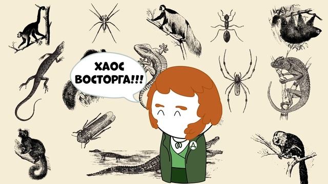 Чарлз Дарвин - Отец Современной Биологии - Сторик (История на пальцах) смотреть онлайн