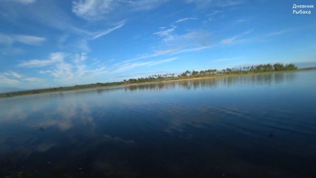 ДОНКИ С ЛЯГУШКАМИ ЛОВЯТ СОМА. ШЕСТИЛЕТНИЙ РЕБЕНОК УДЕЛАЛ ВЗРОСЛЫХ НА РЫБАЛКЕ. РЫБАЛОЧКА С НОЧЕВКОЙ смотреть онлайн