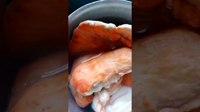 готовлю гриб трутовик смотреть онлайн