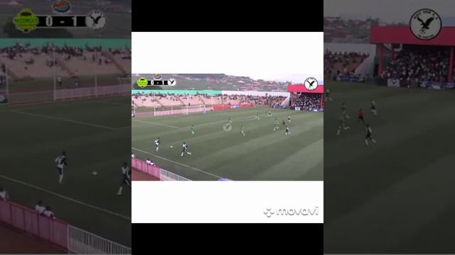 Masudi Narcisse De Aigle Noir CS