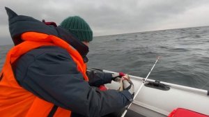 Рыбалка в Калининграде. Ловля трески после шторма. Балтийское море. декабрь 2020
