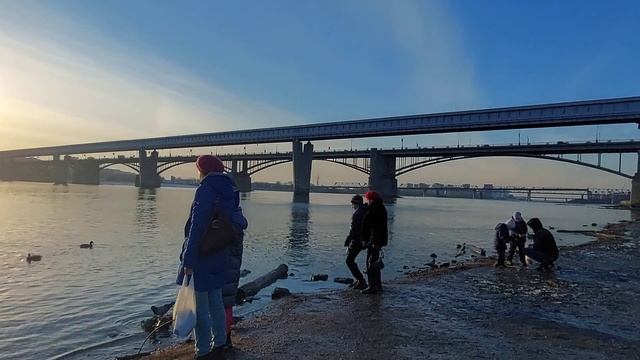 НОВОСИБИРСК/ РЕКА ОБЬ ОБМЕЛЕЛА НА ДЕСЯТКИ МЕТРОВ ОТ БЕРЕГА/МИХАЙЛОВСКАЯ НАБЕРЕЖНАЯ/НАРОД КОРМИТ УТО смотреть онлайн