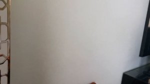 Египет 2021.Обзор номеров Sentido Reef Oasis Senses .  Шарм эль шейх