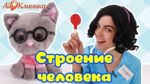 АЙ КЛИНИКА - ИЗУЧАЕМ СТРОЕНИЕ ТЕЛА ЧЕЛОВЕКА