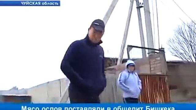 6 апреля 2017 г. смотреть онлайн