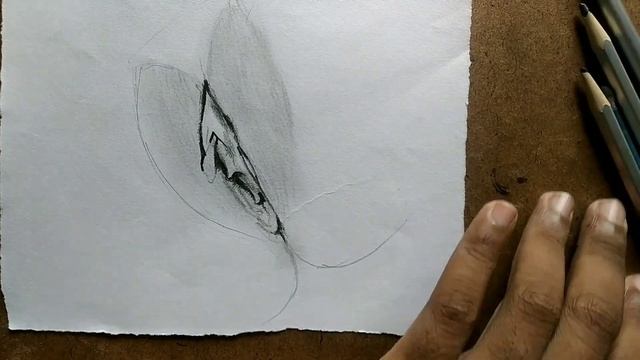 This is the bush lab - female figure drawing technique | pencil drawing смотреть онлайн