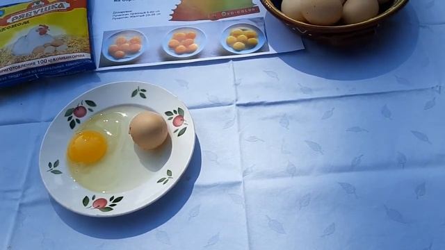 Цвет желтка яйца. Чем кормить кур несушек. смотреть онлайн