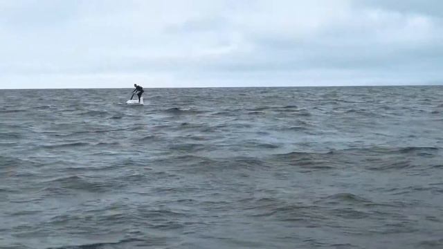 2021 Hydrofoiler XE 1 - Manta5 Hydrofoil Bikes - Australia
