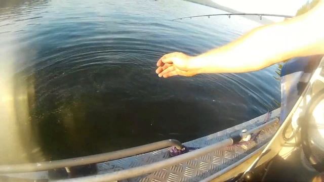 Рыбалка п.Седаново, р.Ангара смотреть онлайн