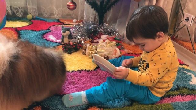 Давид кормит свою любимую собаку Померанский шпиц собаки и дети лучшие друзья cute dog loves baby смотреть онлайн