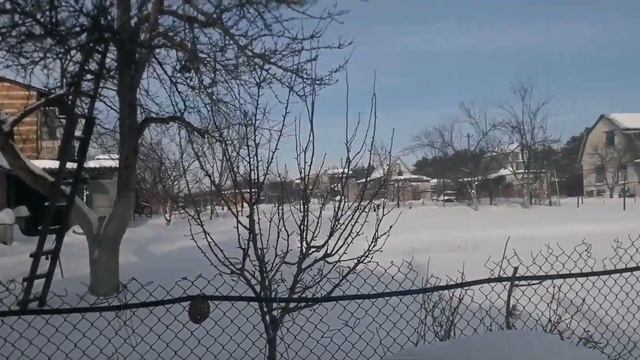 Поделки для дачи своими руками.