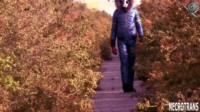 КИТАЙСКАЯ РЕПЛИКА МАСКИ ИЗРАИЛЬСКОГО ПРОТИВОГАЗА, КОТОРОЙ МЫ ПЕРЕСАДИЛИ КЛАПАННУЮ КОРОБКУ МАСКИ ПФЛ смотреть онлайн