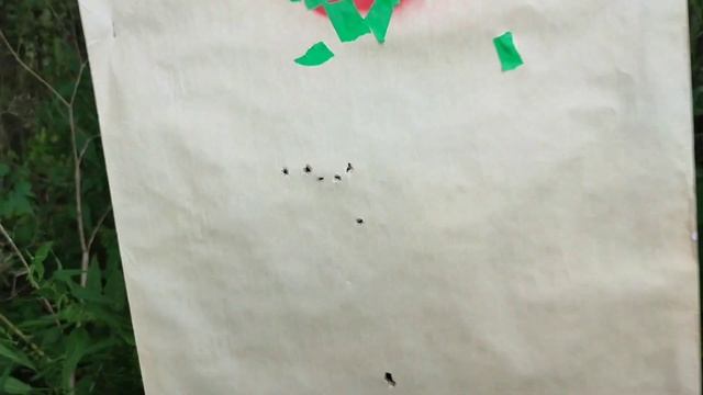 Патрон 7.62х54R дозвук! Вепрь ВПО-123. Эксперимент! Часть первая) смотреть онлайн