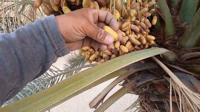 DAIKIN INVERTER RESETING POWER TO WORK AGAIN, HOW TO RESET. смотреть онлайн