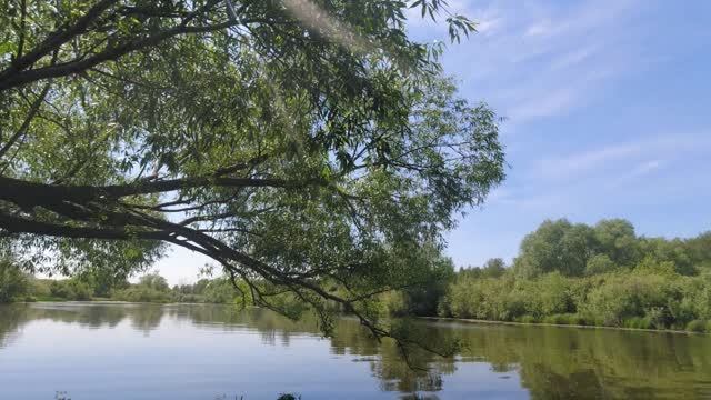 Плотва с лодки на зимнюю удочку.Рыбалка в Сибири.Река Чик.Красивое пение птиц. смотреть онлайн