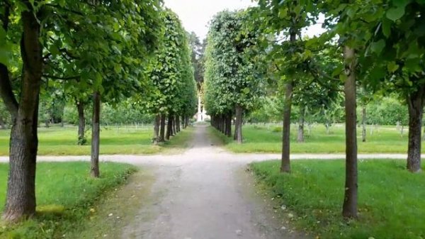 обзор samsung m12 | samsung galaxy m12 4/64gb