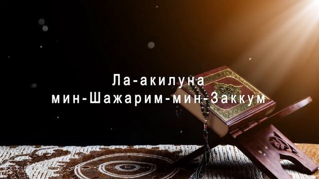 Очень красивое чтение Корана, сура 56 «Аль-Вакиа» смотреть онлайн