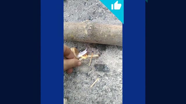 2 вида дымавух смотреть онлайн