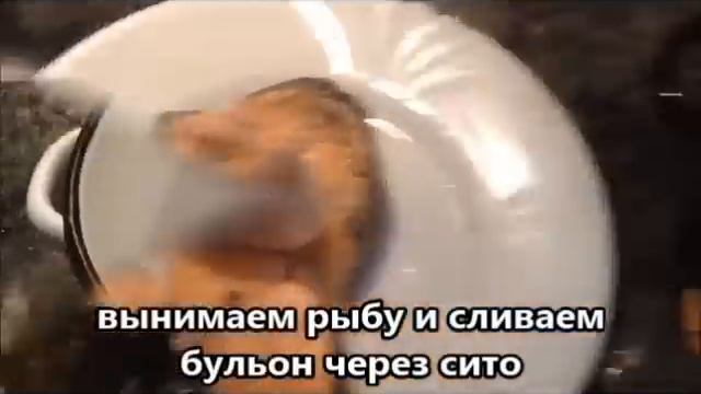 Кулинарная Революция