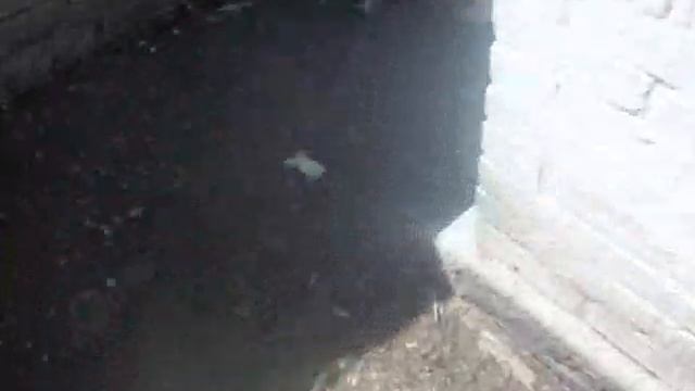 Как вывести утят без утки и инкубатора смотреть онлайн