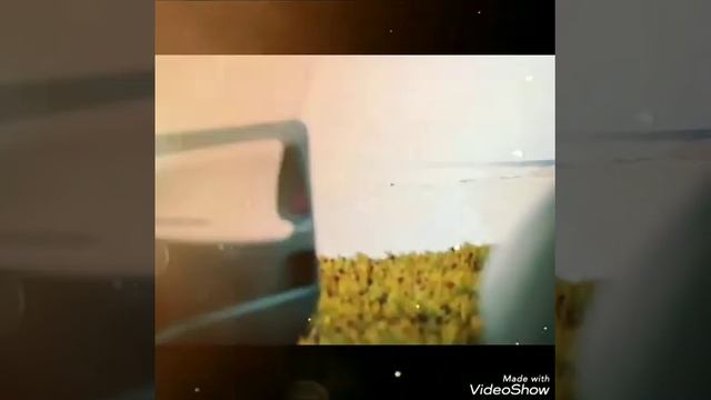 Ах Астахова.Стихи. "Ты говоришь.." смотреть онлайн