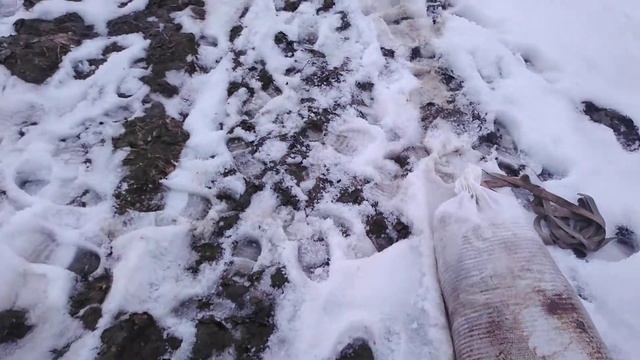 навоз весной по снегу. внесение навоза. птичьего помета. удобрение земли весной смотреть онлайн