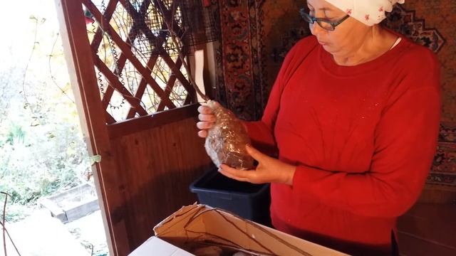 Сады России в посылку положил два подарка смотреть онлайн