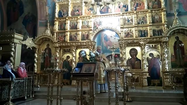 Воскресная проповедь отца Николая в неделю Воспоминания Адамова изгнания. смотреть онлайн