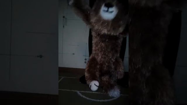 Кот дудец смотреть онлайн